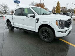 
										FORD F-150 2021 Pickup full									