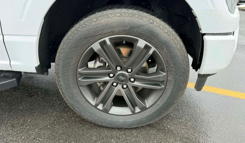 
								FORD F-150 2021 Pickup full									